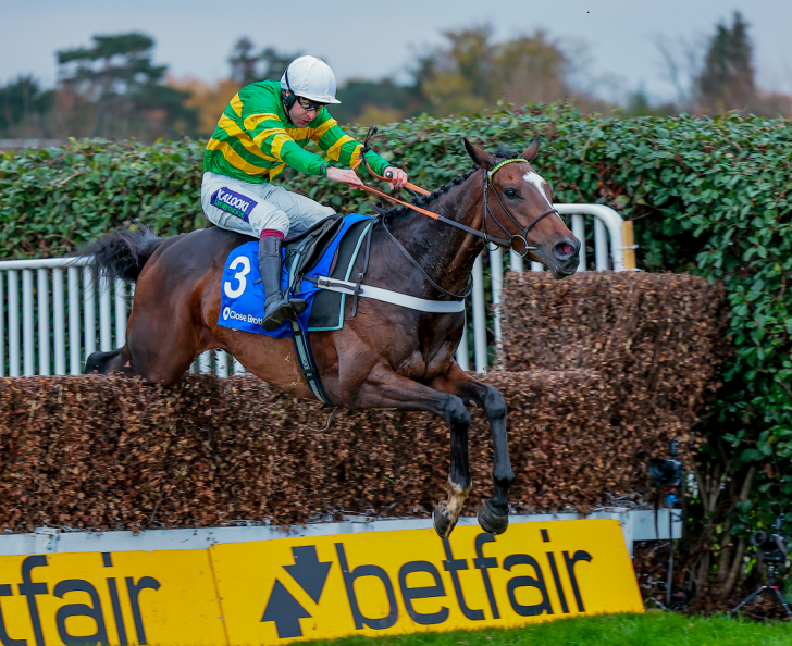 Champion Chase